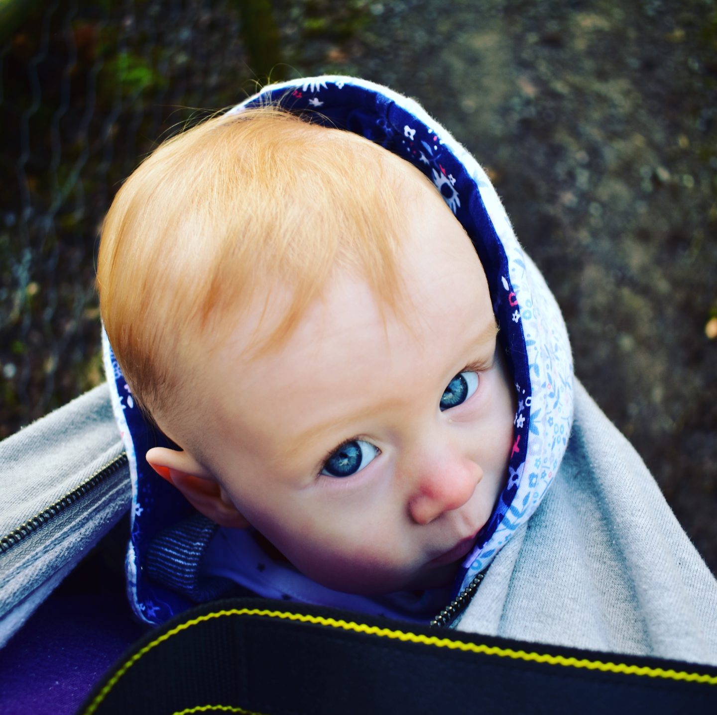 Our baby in the baby carrier around Exmoor Zoo