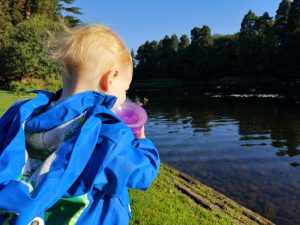 my daughter getting a little bit close to the edge of the lake at Tredegar house park