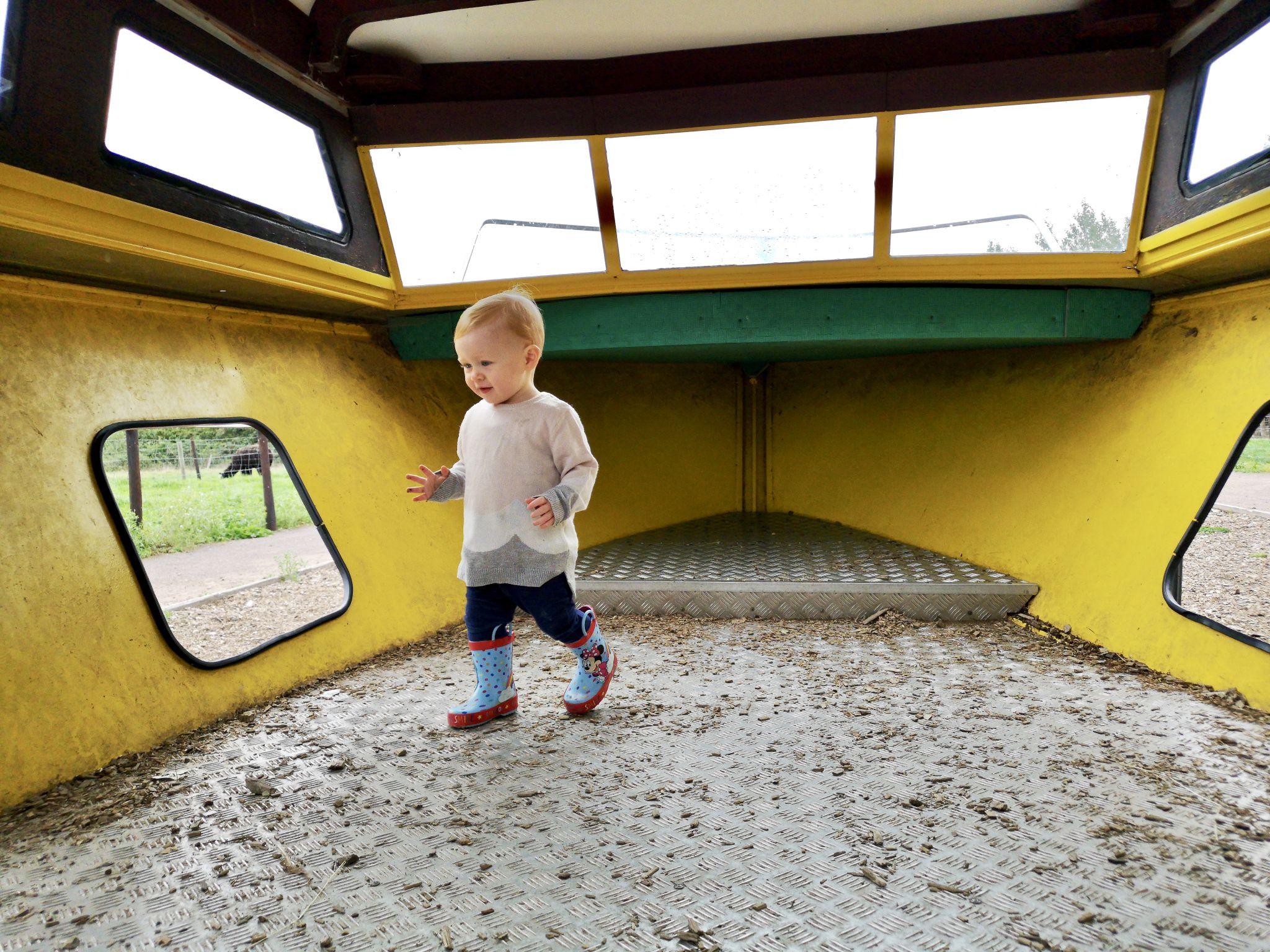 Our toddler playing on the boat at Walnut Tree Farm Park