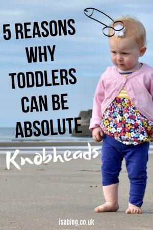 Let's be honest for a minute. Toddlers can be right knobheads at times. Like proper pain in the arse knobheads. So much so that I thought I'd give you give reasons why that's the case. I dare say there are more than 5, but let's not get carried away.