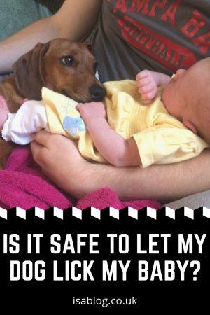 Is it safe to let my dog lick my baby? If you're asking yourself that very question then here's a post, backed up with research, about that very question.