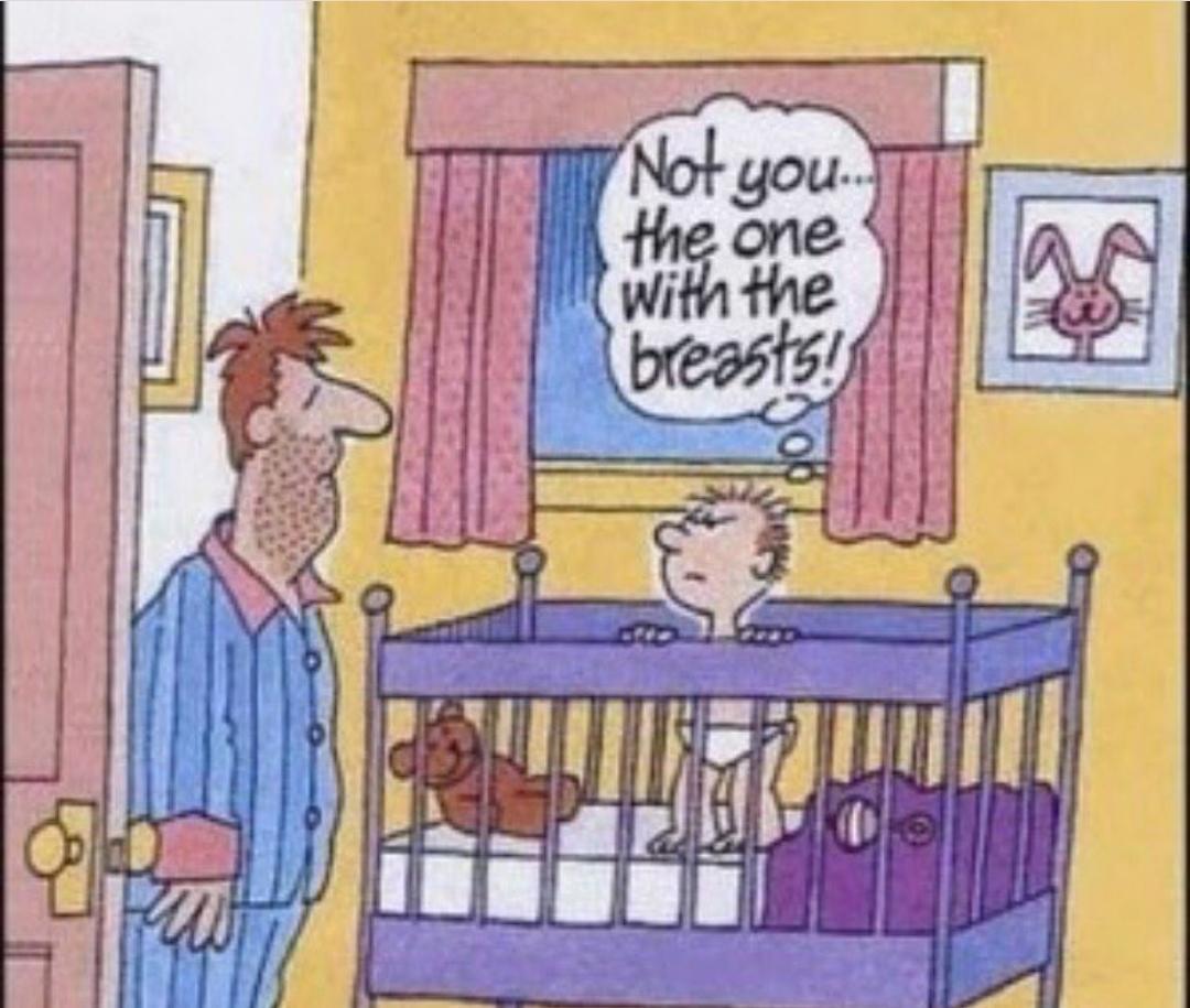 breastfeeding meme baby wants mom not dad